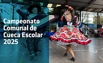 BANNER CAMPEONATO DE CUECA