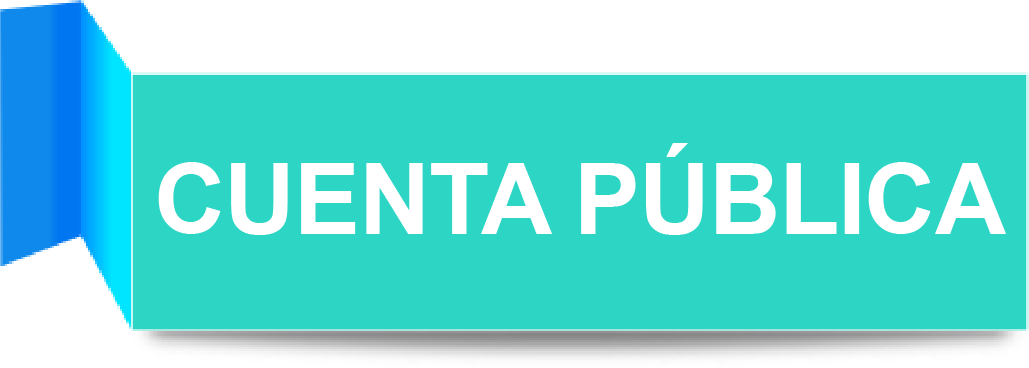cuenta publica