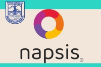 Instrucciones Ingreso Plataforma Napsis